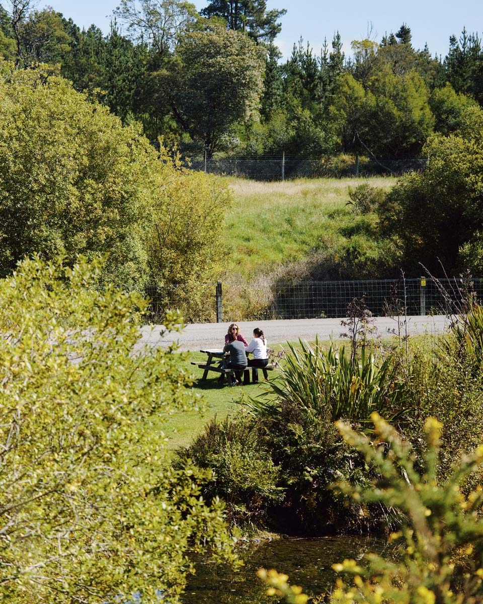Visitors at a picnic table in green parkland surrounded by native plants