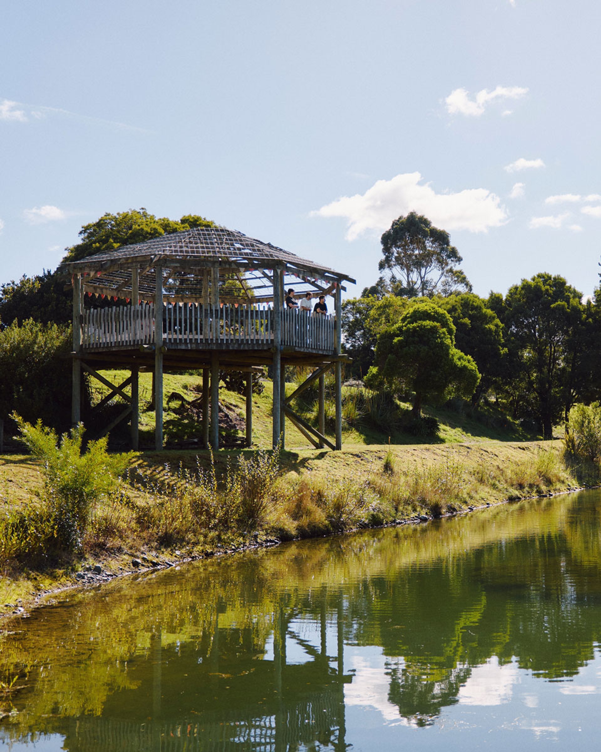 A viewing tower reflected in a pond surrounded by native plants