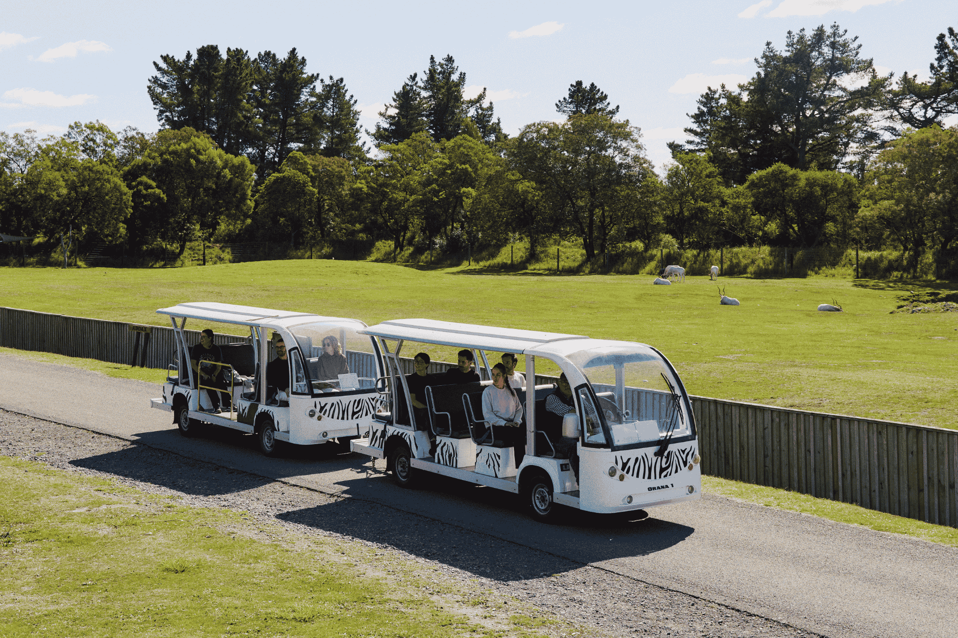 Take A Shuttle Tour