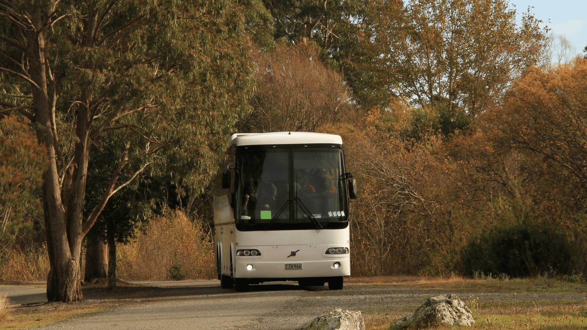A tour coach driving along a tree-lined road