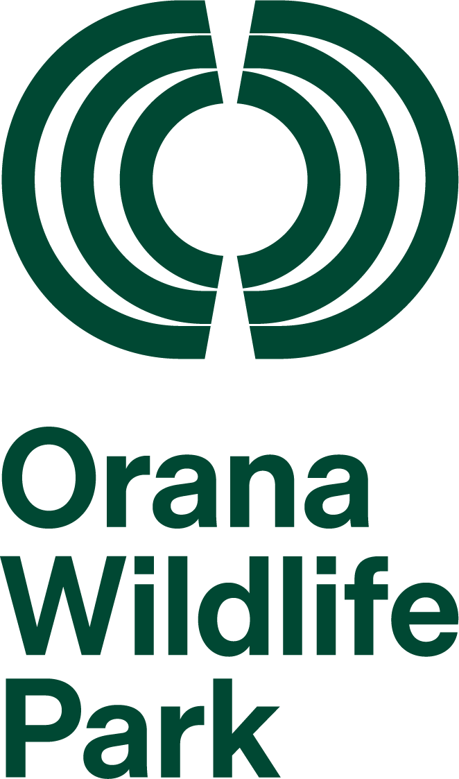 We Turned 50 and Rebranded