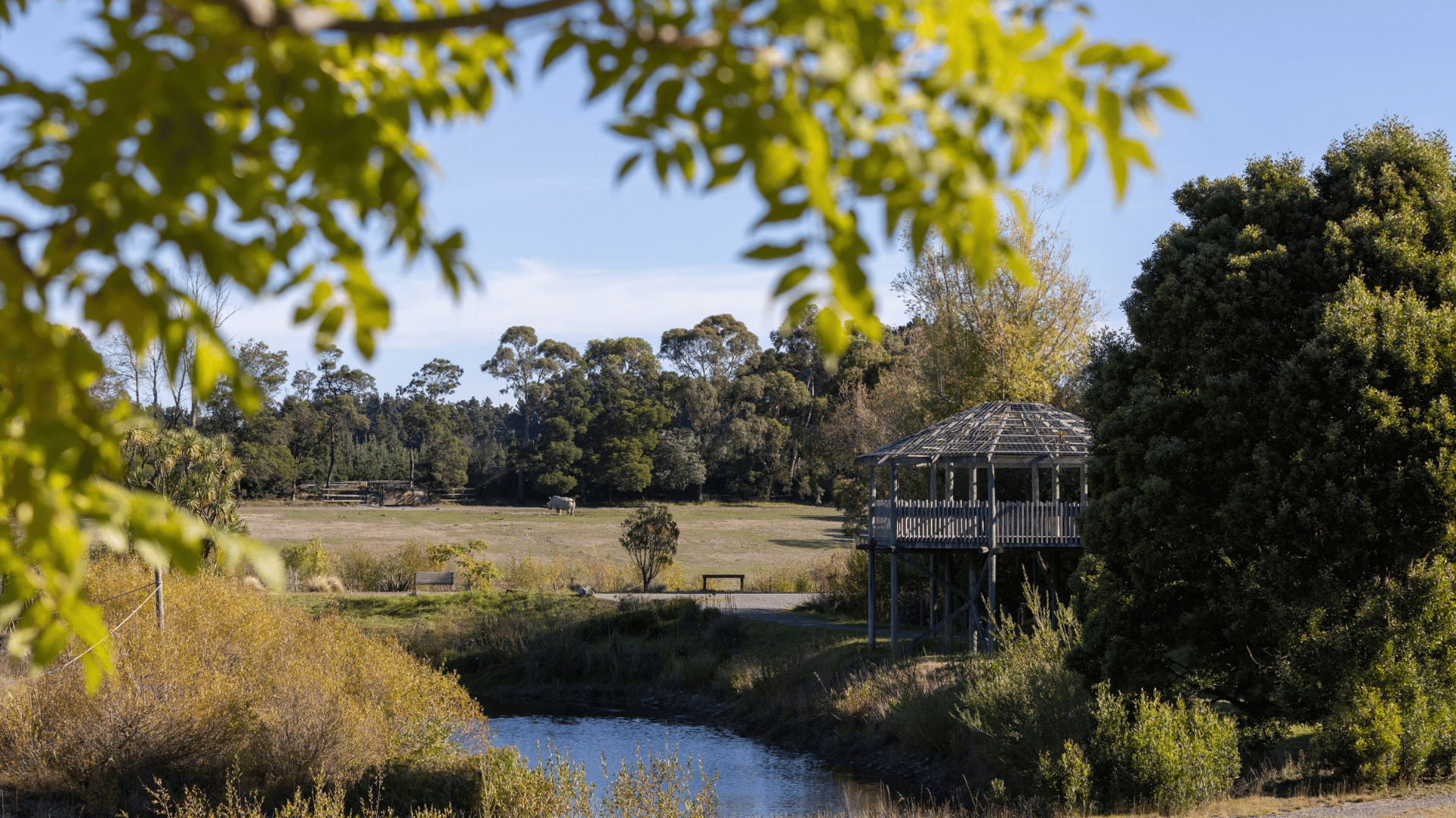 Landscape view of Orana, looking across water to the rhino habitat