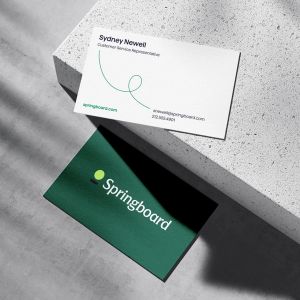 springboard biz cards.jpg