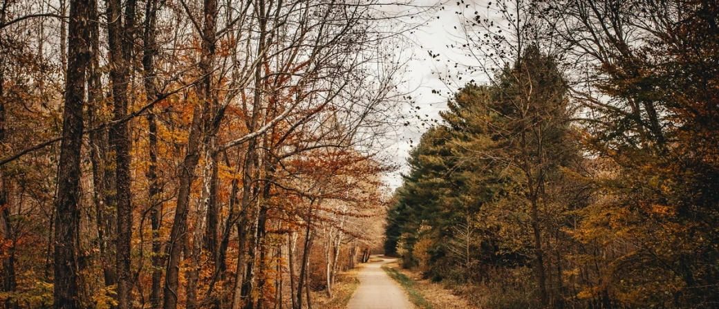 Secrets of the Sunken Citadel of Aerthos