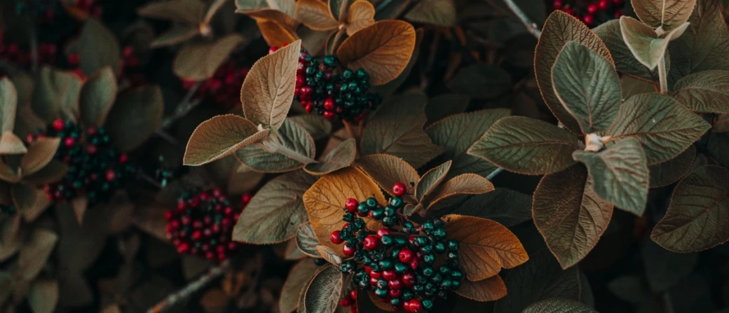 What Does the Bible Say About Sin? 10 Verses from the NLT