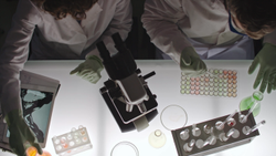 Mystery of the Missing Sparkle-Socks Solved!