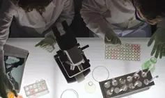 Mystery of the Missing Sparkle-Socks Solved!