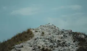 Cooking with Crystal Shards: Elevate Your Dinner Party