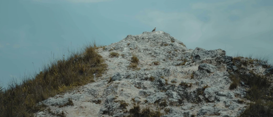 Cooking with Crystal Shards: Elevate Your Dinner Party