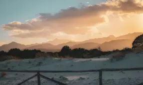 Behind the Last Door on Elm Street: A Review