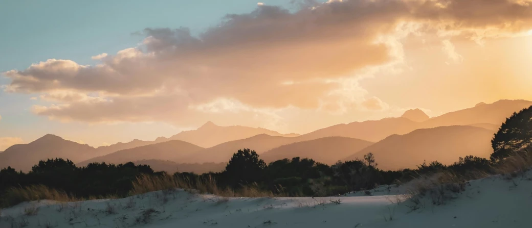 Behind the Last Door on Elm Street: A Review