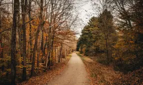 Books & People of the BIble