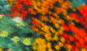 Seven Ways to Befriend Your Local Glow-Fungus