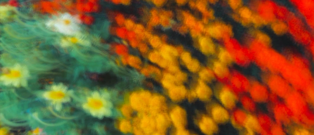 Seven Ways to Befriend Your Local Glow-Fungus