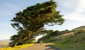 Newest Blog Entry Test