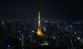 Cooking with Crystal Shards: Elevate Your Dinner Party Version 2