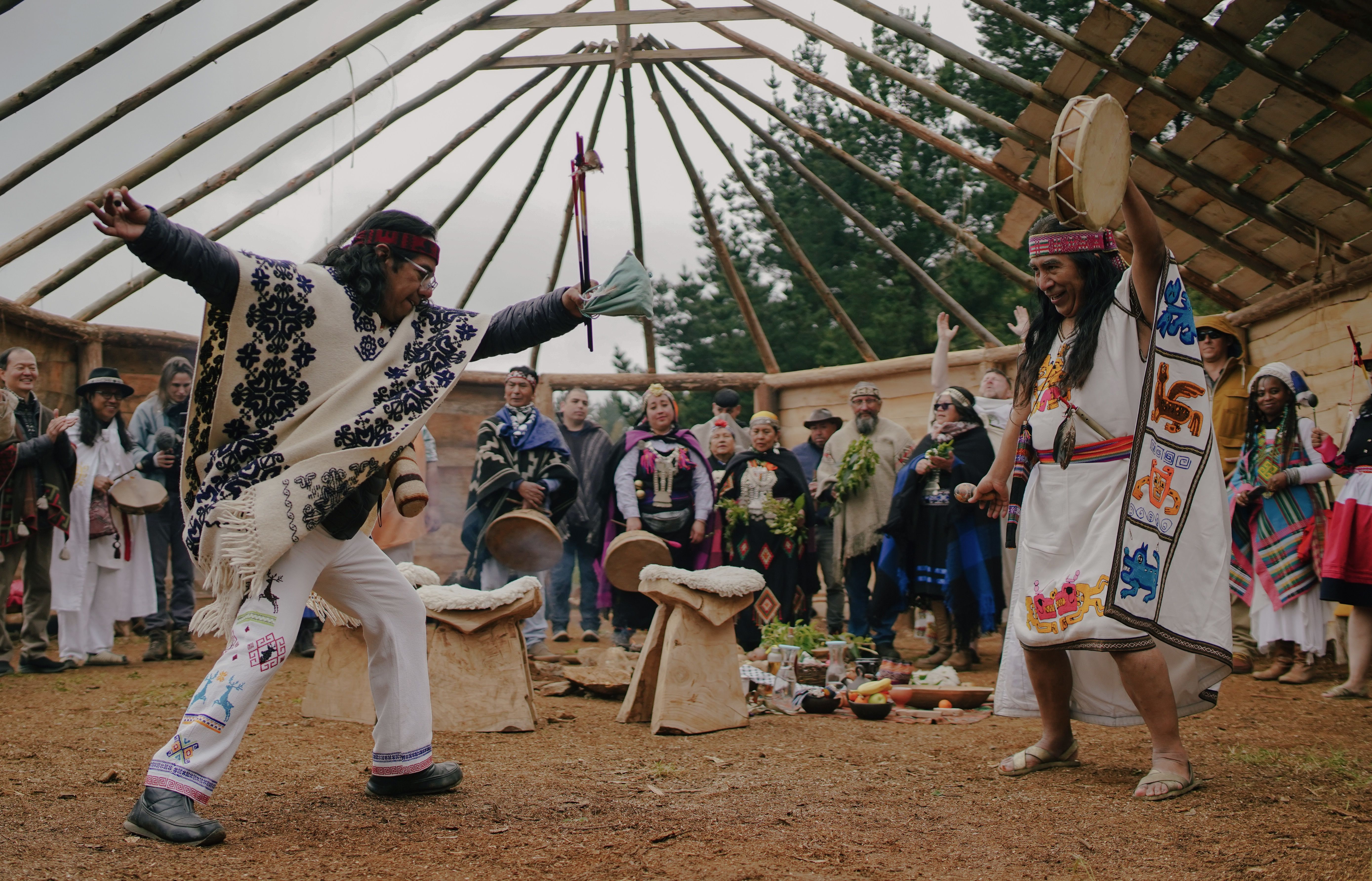 Earth Elders selected for Movies That Matter Impact Forum - Press Release