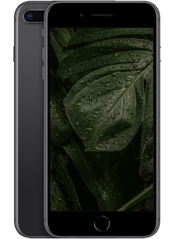 iPhone 8 Plus, Rymdgrå