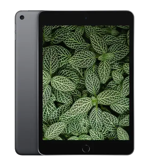 iPad mini 5, Rymdgrå