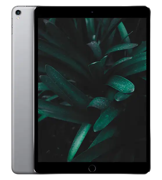 iPad Pro 2 (2017) 10.5-tum, Rymdgrå