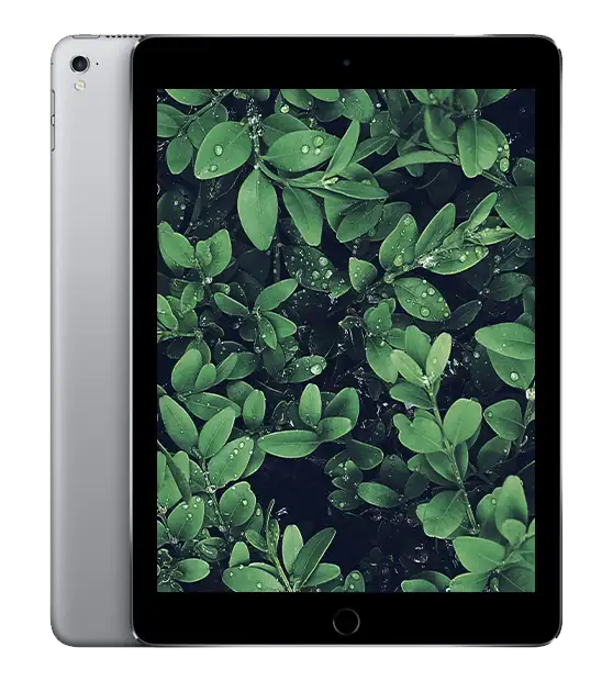 iPad Pro 1 (2016) 9.7-tum, Rymdgrå