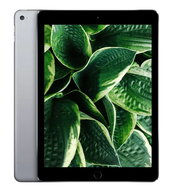 iPad Air 2 (2014), Rymdgrå