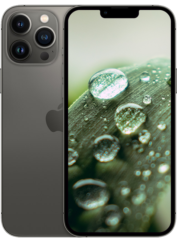 iPhone 13 Pro, Grafit