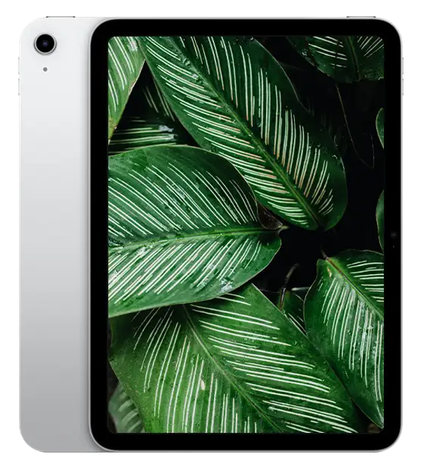 iPad 10, Silver