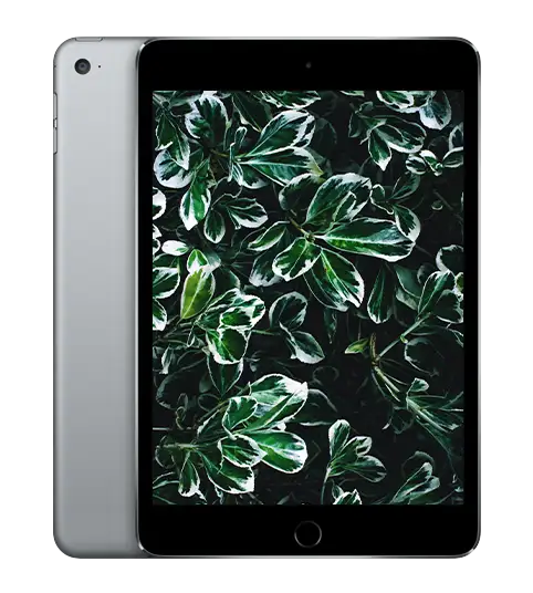 iPad mini 4, Rymdgrå