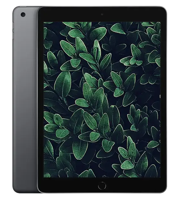 iPad 7, Rymdgrå