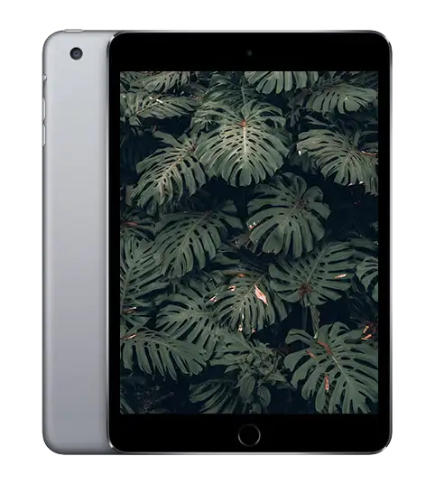 iPad mini 3, Rymdgrå