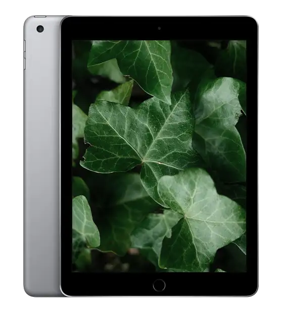 iPad 5, Rymdgrå