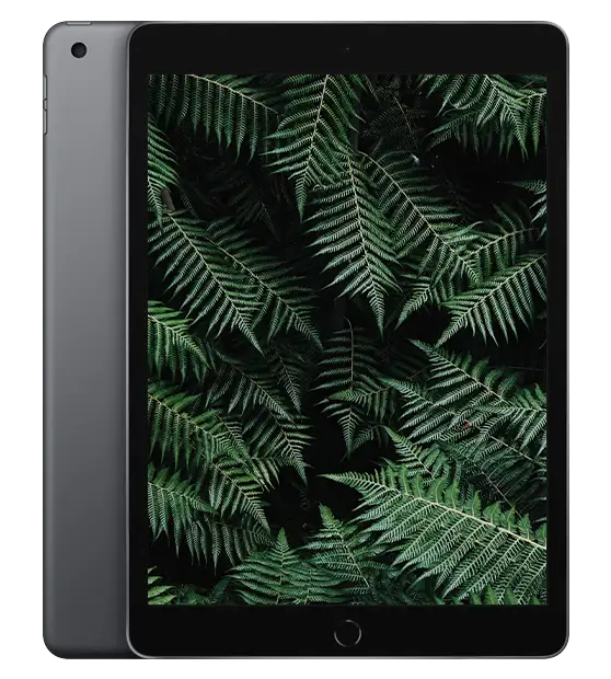 iPad 9, Rymdgrå