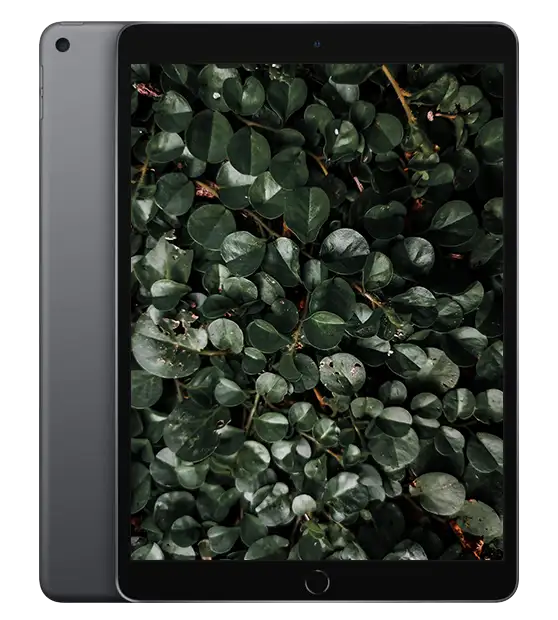 iPad Air 3, Rymdgrå