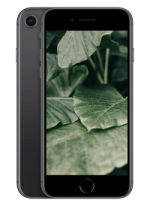 iPhone 8, Rymdgrå
