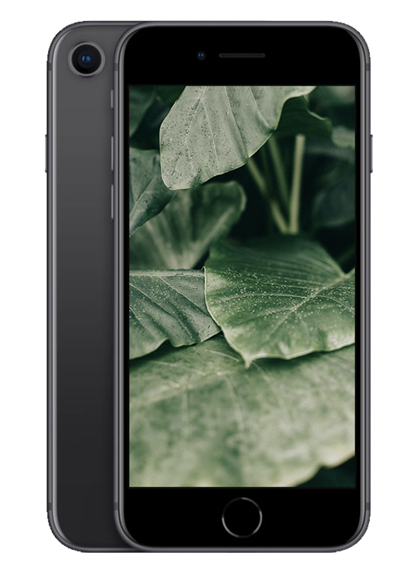 iPhone 8, Rymdgrå