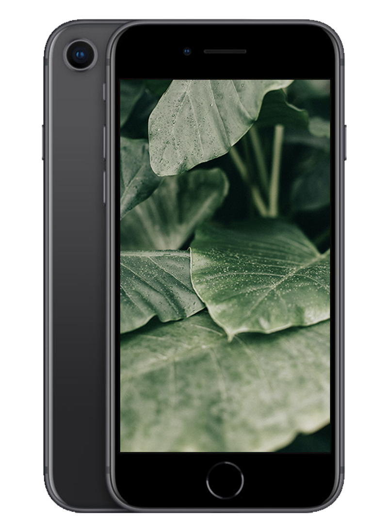 iPhone 8, Rymdgrå