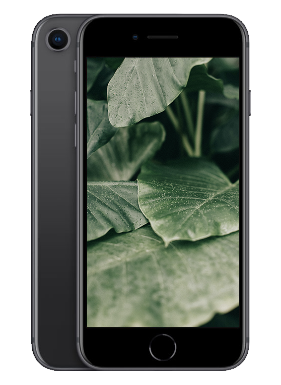 iPhone 8, Rymdgrå