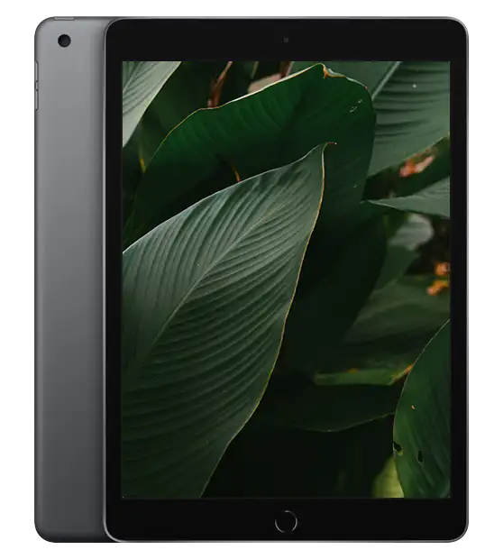 iPad 8, Rymdgrå
