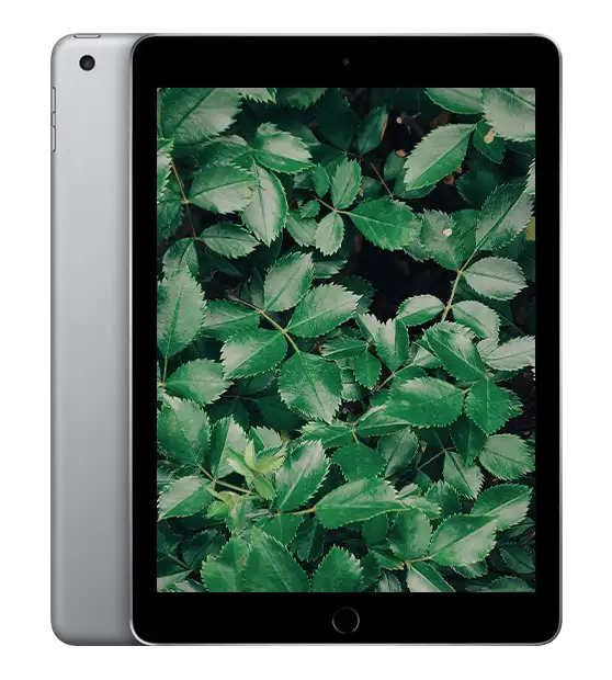 iPad 6, Rymdgrå