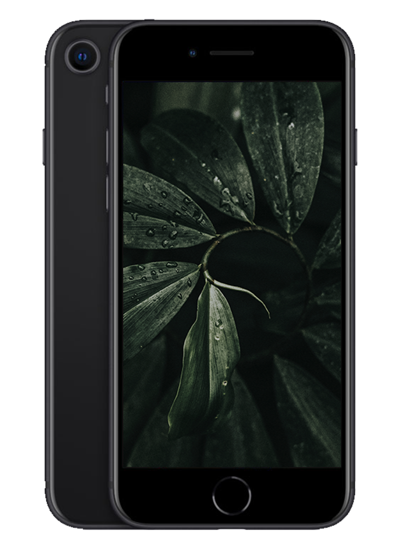 iPhone SE 2020, Svart