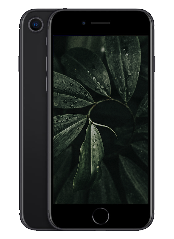 iPhone SE 2020, Svart