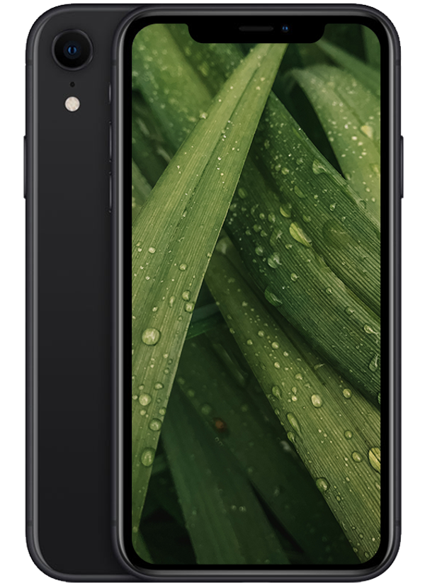 iPhone XR, Svart