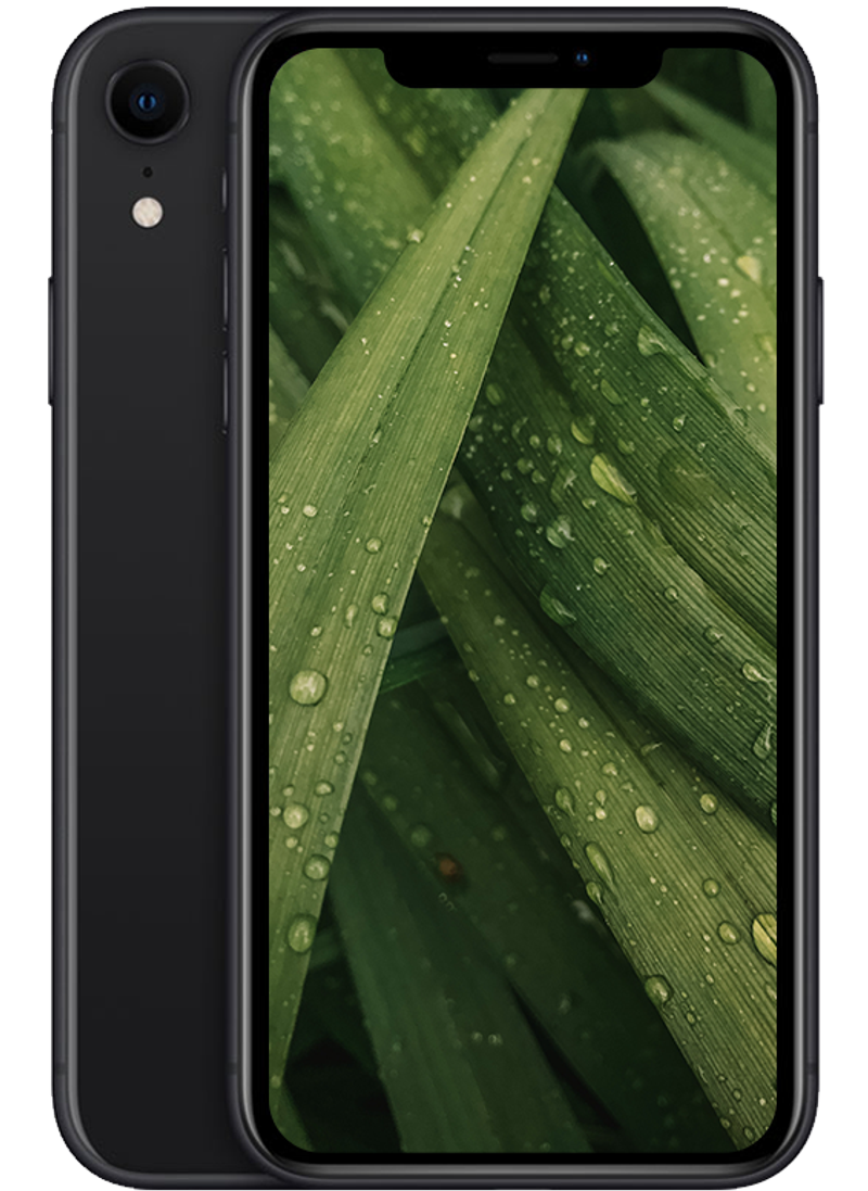iPhone XR, Svart