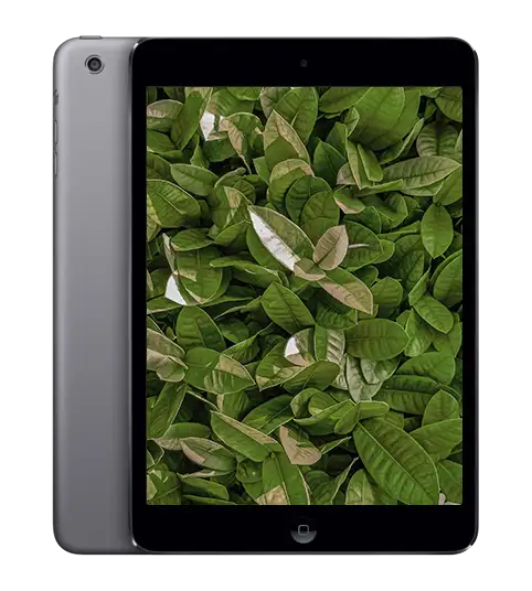 iPad Mini 2 (2013), Rymdgrå