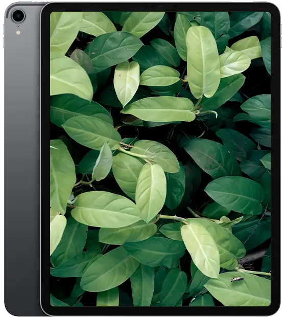 iPad Pro 3 (2018) 12.9-tum, Rymdgrå