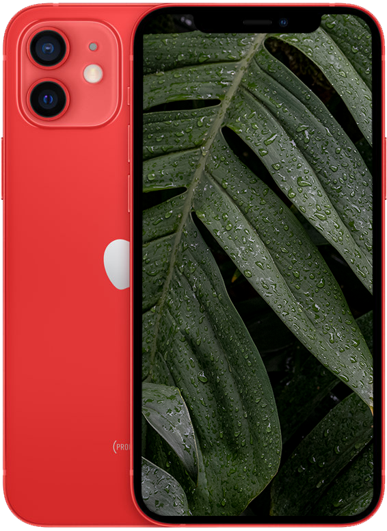 iPhone 12, Röd
