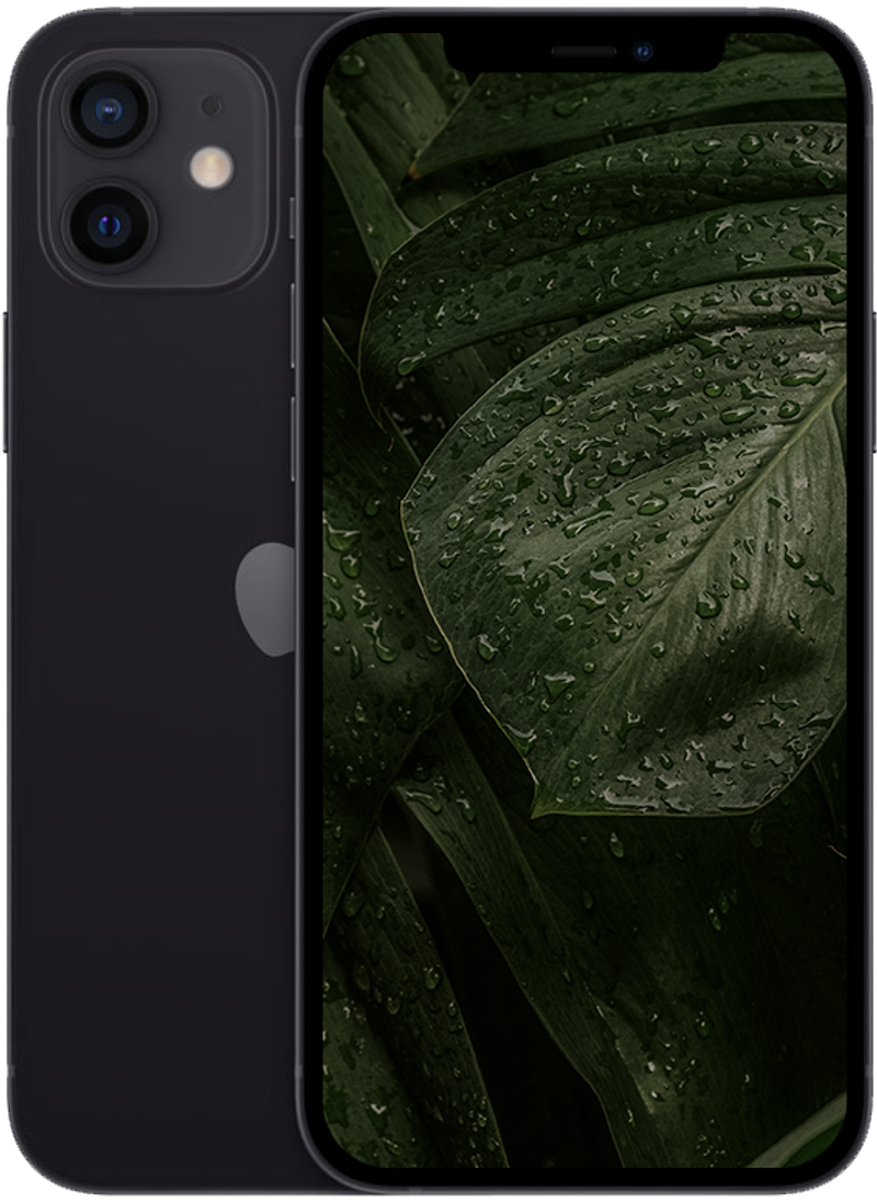 iPhone 12 Mini, Svart