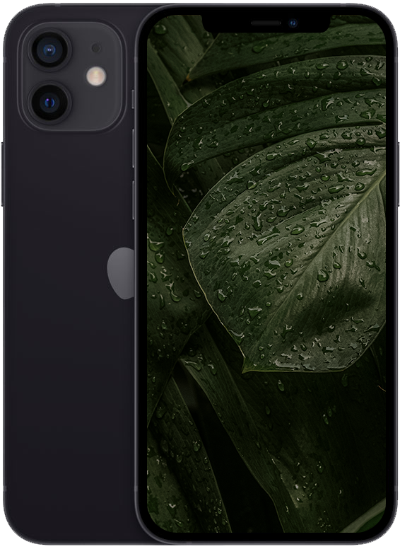 iPhone 12 Mini, Svart