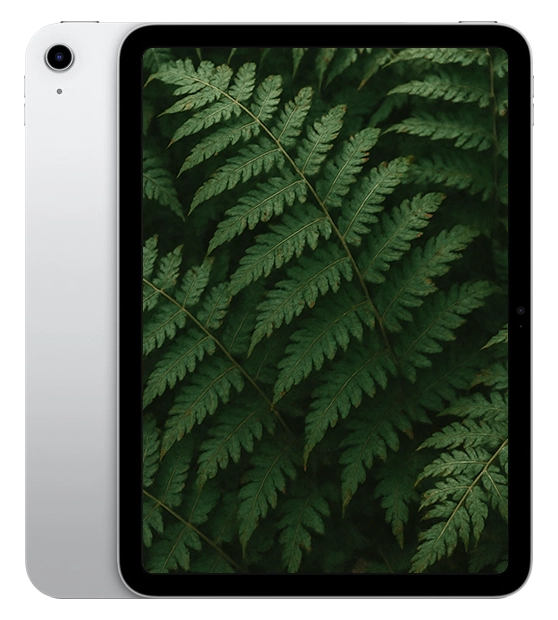 iPad A16 11th generation Silver